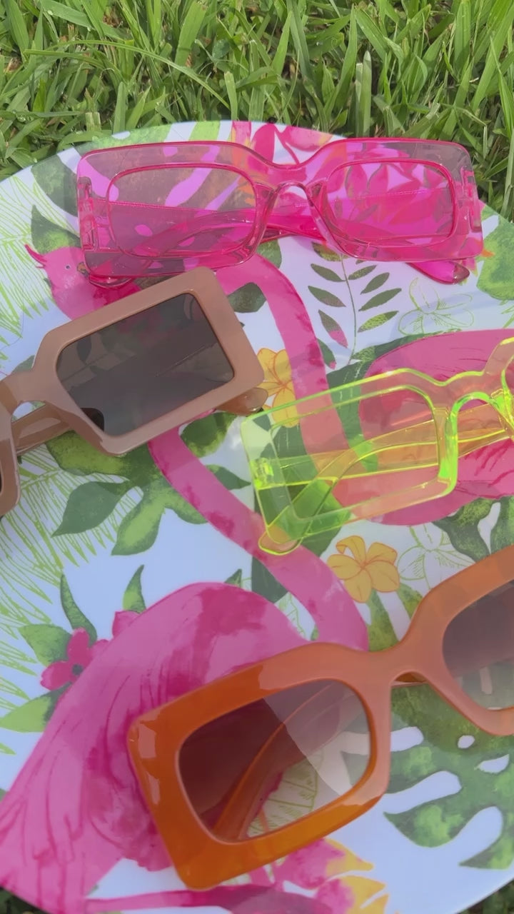 Totally Clueless Sunnies